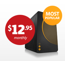 Plus cPanel Hosting &mdash; $12.95 per month